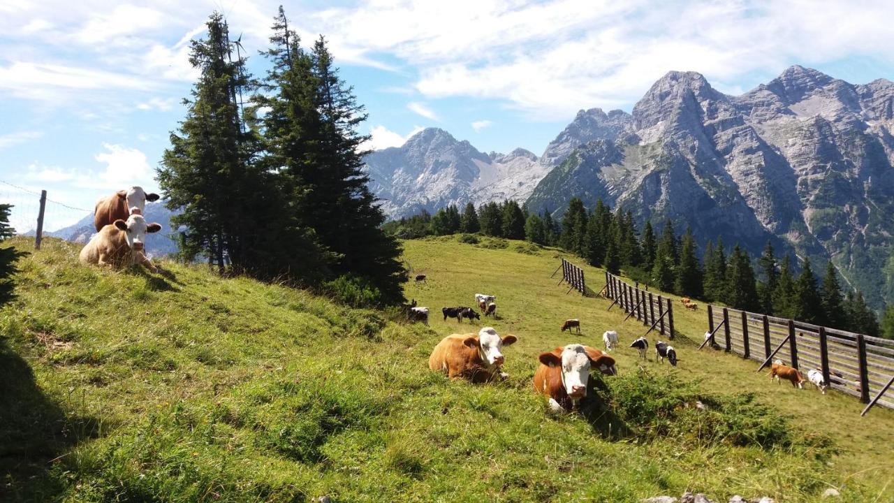 Appartamento Haus Alpengruss Lofer Esterno foto