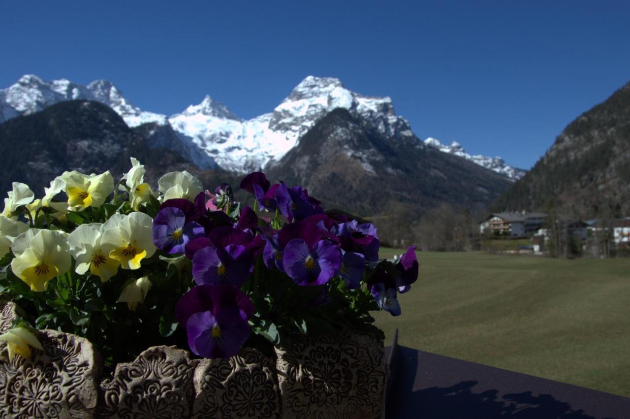 Appartamento Haus Alpengruss Lofer Esterno foto