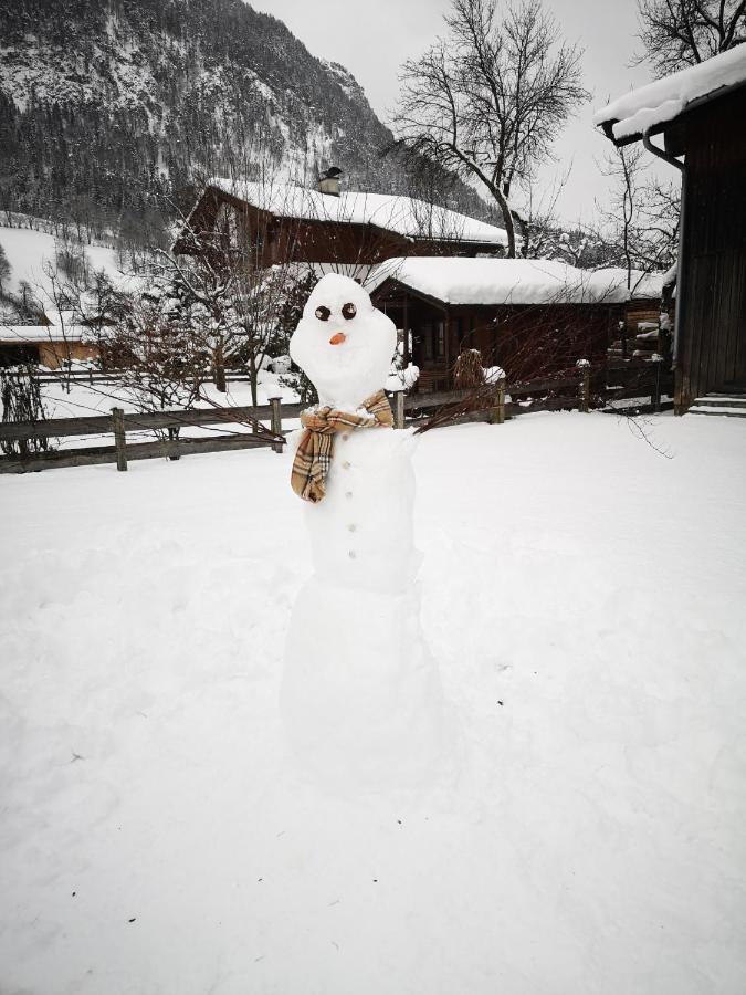 Appartamento Haus Alpengruss Lofer Esterno foto