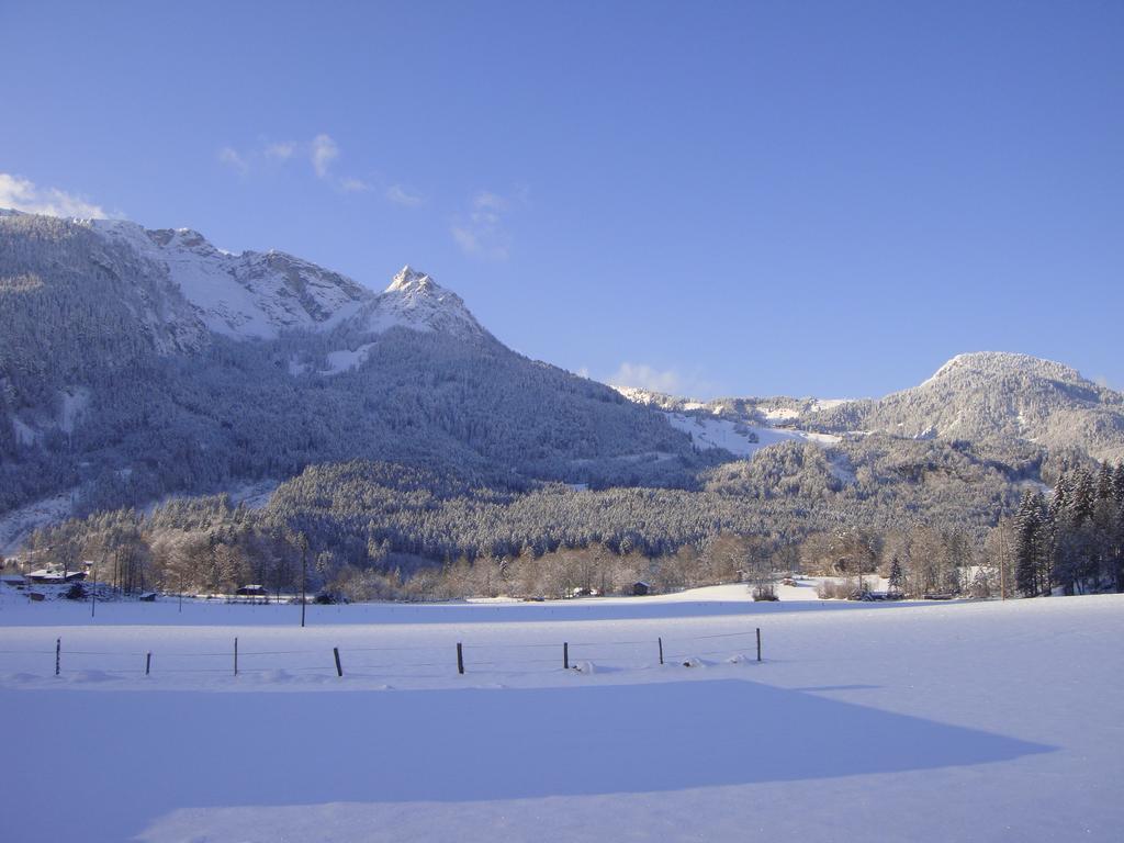 Appartamento Haus Alpengruss Lofer Esterno foto