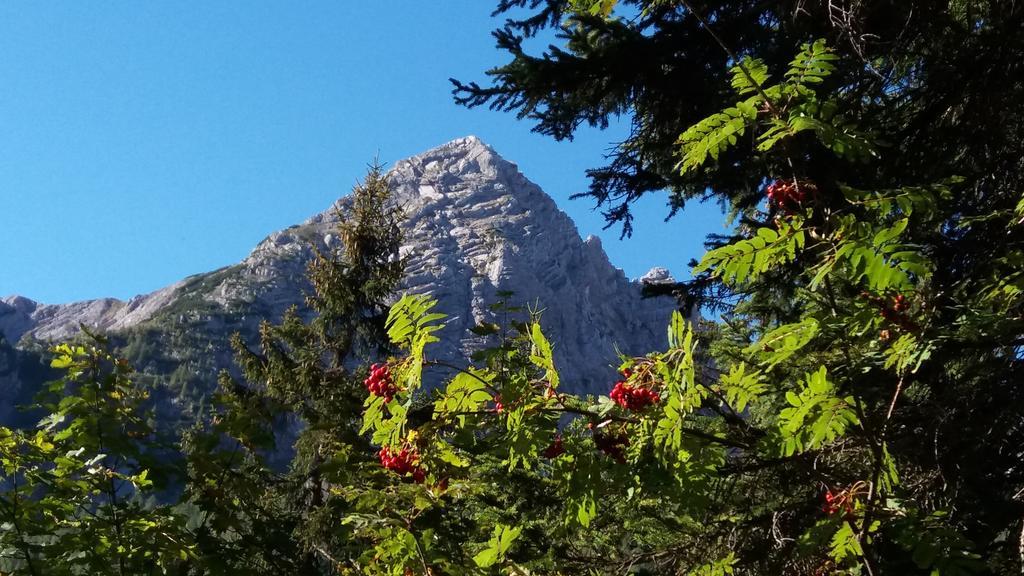 Appartamento Haus Alpengruss Lofer Esterno foto