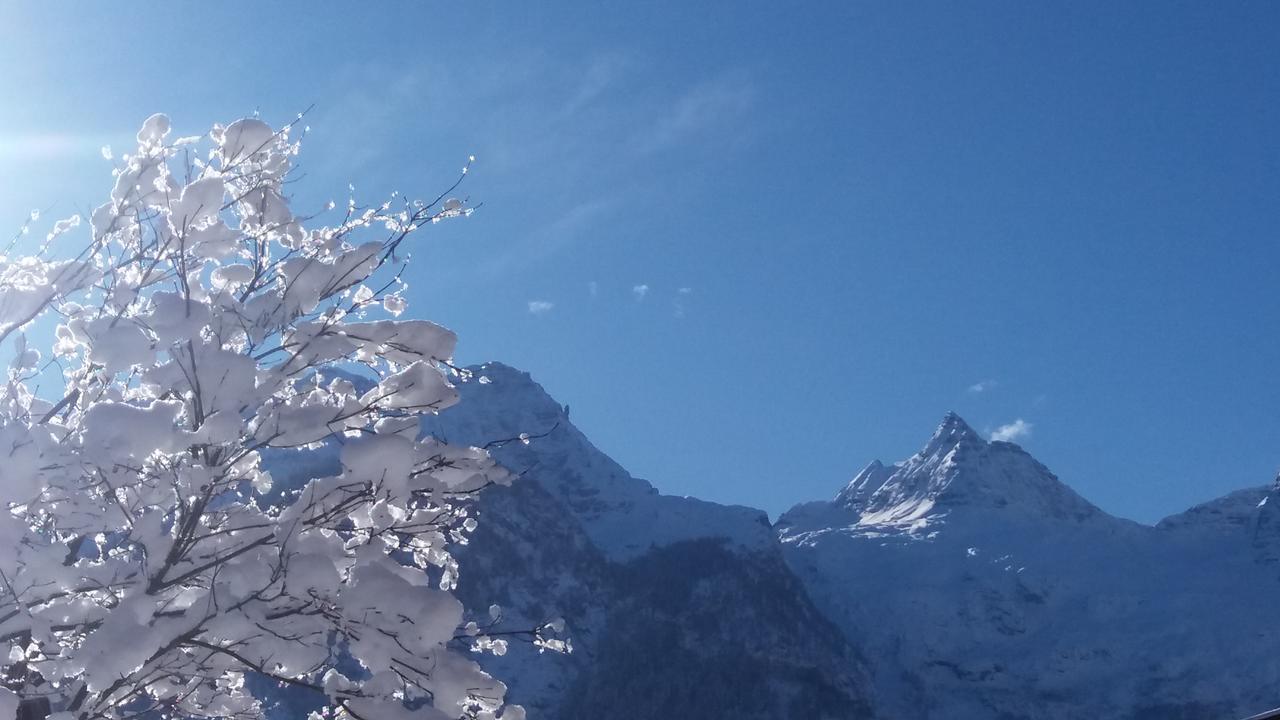 Appartamento Haus Alpengruss Lofer Esterno foto